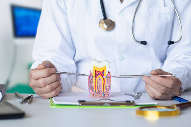 Best Tooth Pain Emergency Relief  in Thief River Falls, MN